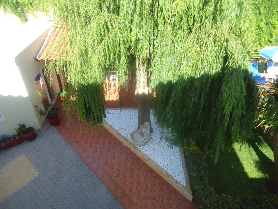 Ayía Marína Sofia Studios & Apts מראה חיצוני תמונה